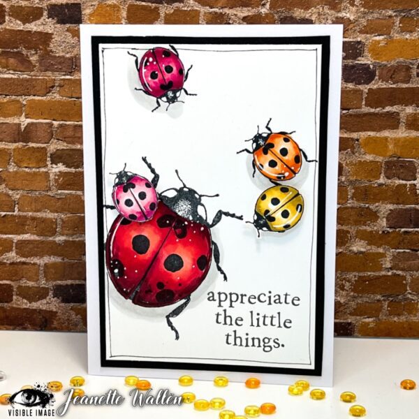 Visible Image clear stamps - Little Ladybirds