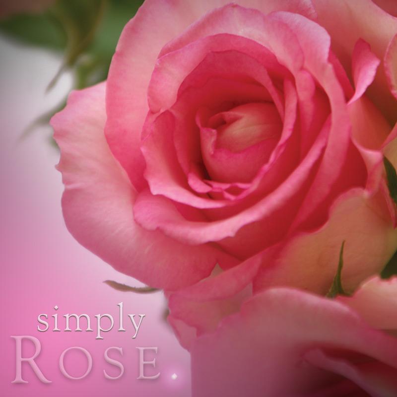 Simply Rose - Reed Diffuser Refill