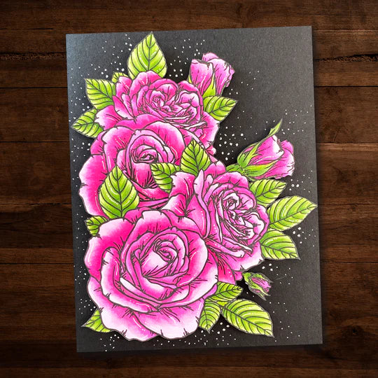 Paper Rose -  Clear Stamp Set - Sketchy Roses