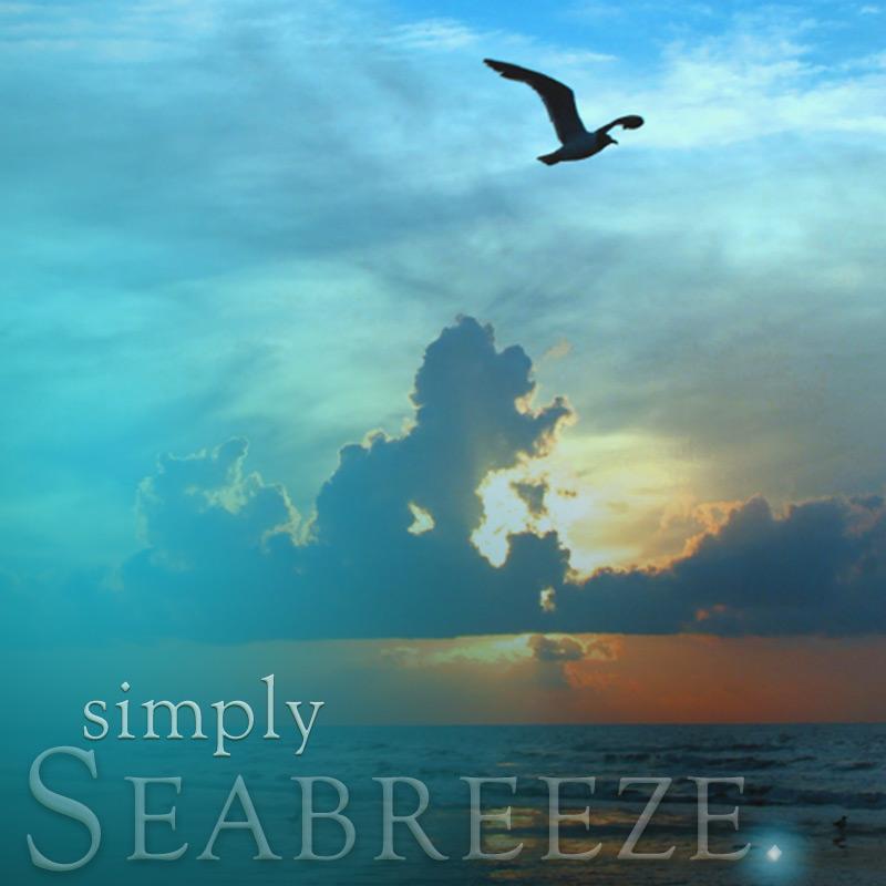 Simply Seabreeze - Reed Diffuser Refill