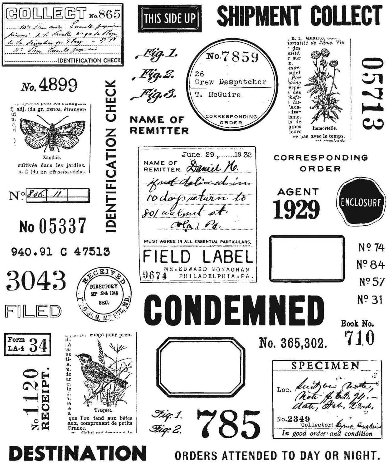 Rubber Stamps - Cling Mount - Field Notes Arts & Crafts Tim Holtz